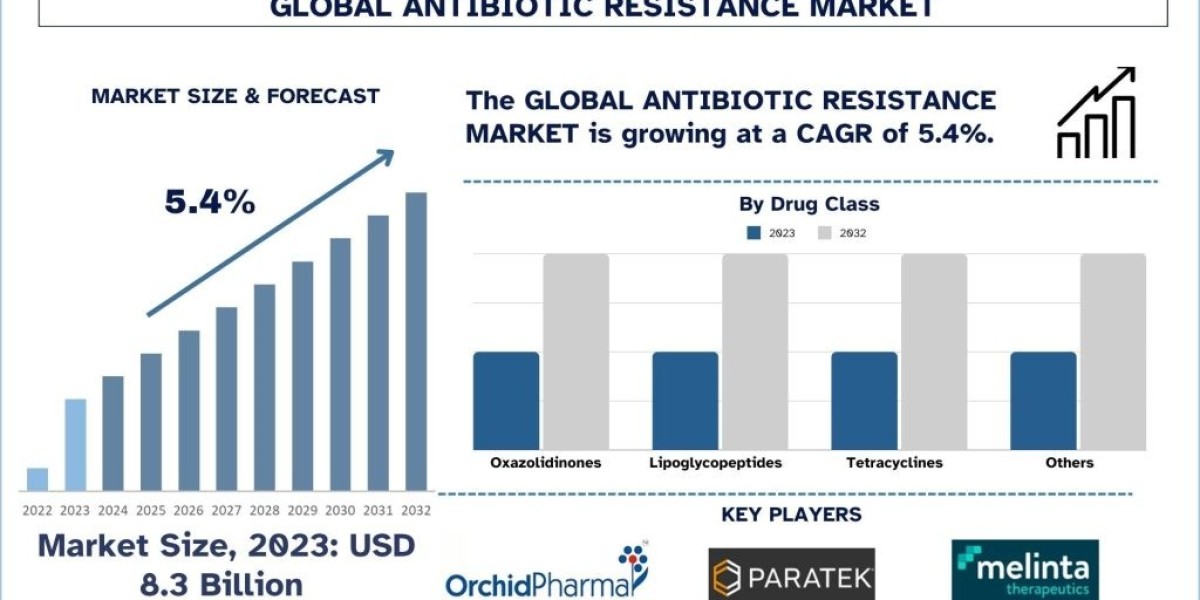 Antibiotic Resistance Market Size, Share, Growth, Trends and Forecast 2024-2032