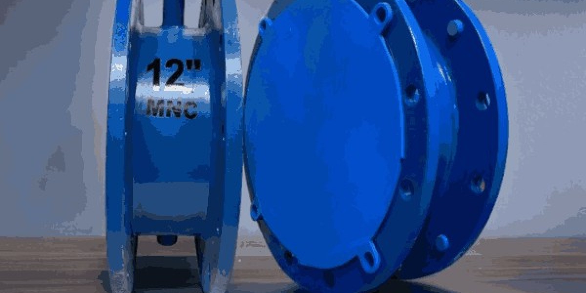 Butterfly Valves Manufacturers and Suppliers in India