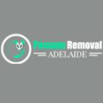 Possum Removal Adelaide