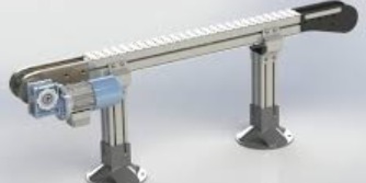 Flexible Chain Conveyors: Everything You Need to Know