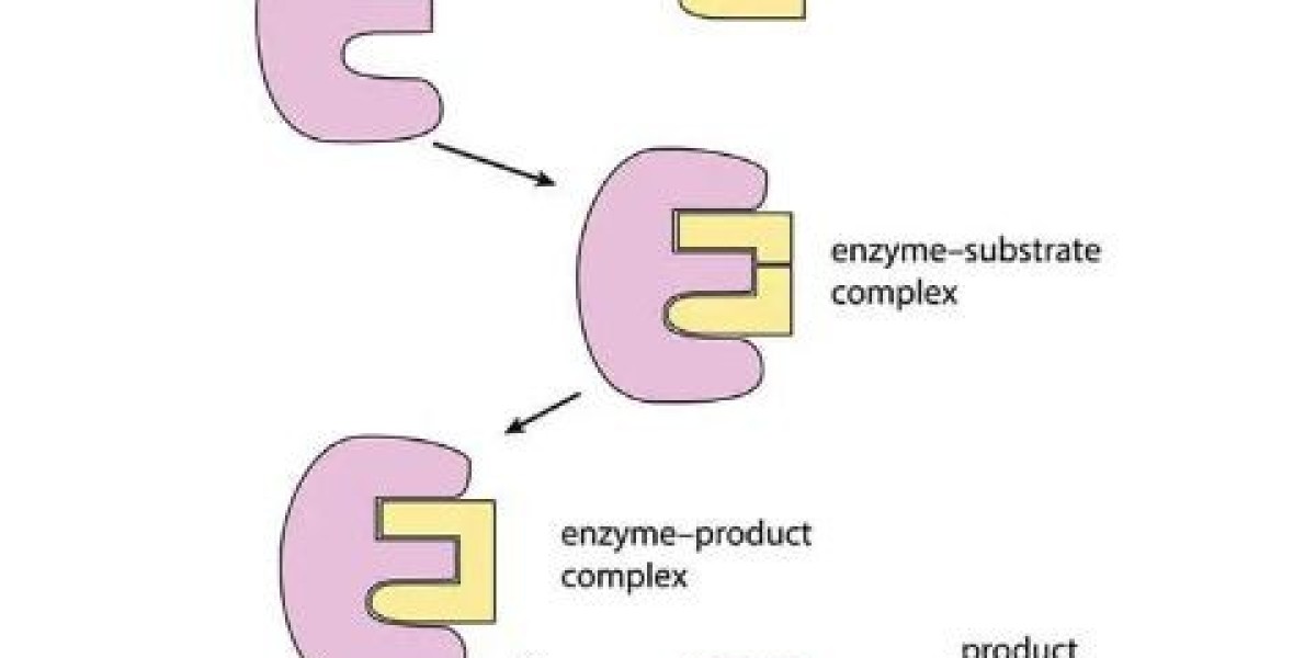 Enzymes Market Overview: From Food to Pharmaceuticals