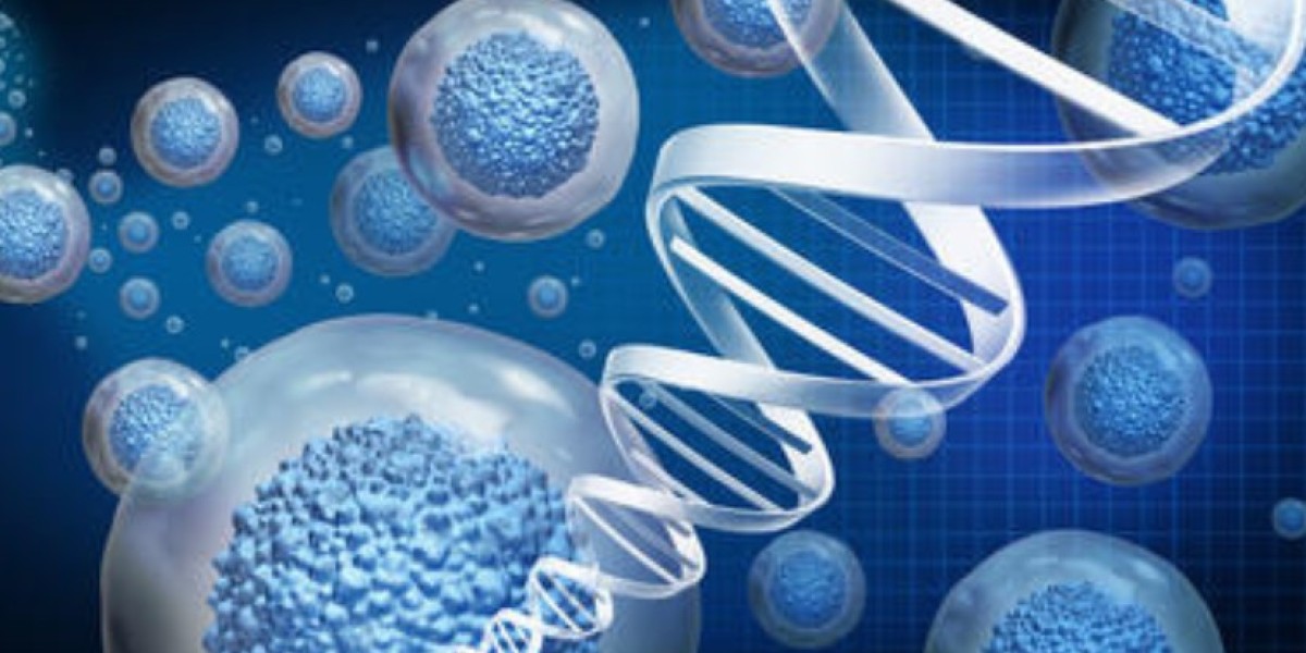 Global Gene Therapy Market Share, Size, Trends, Key Players, & Future Outlook | 2024 - 2032