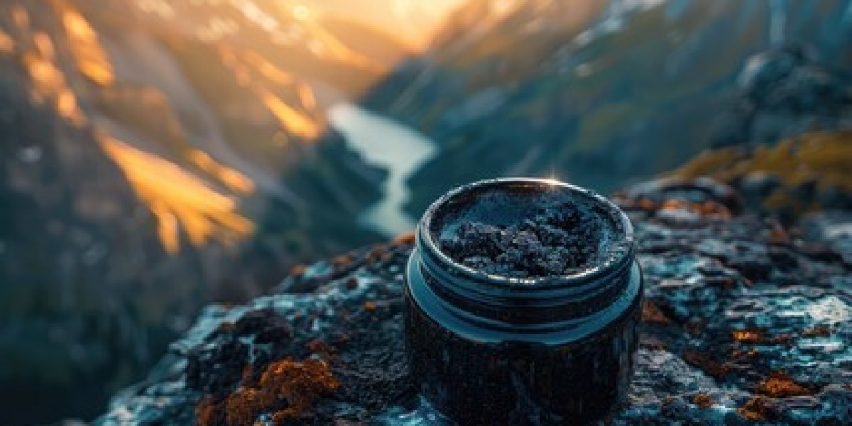 Himalayan Shilajit's Best-Kept Wellness Secret in Nature