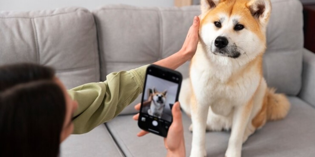 Pet Diabetes Care Device is Helping Manage Pet Diabetes