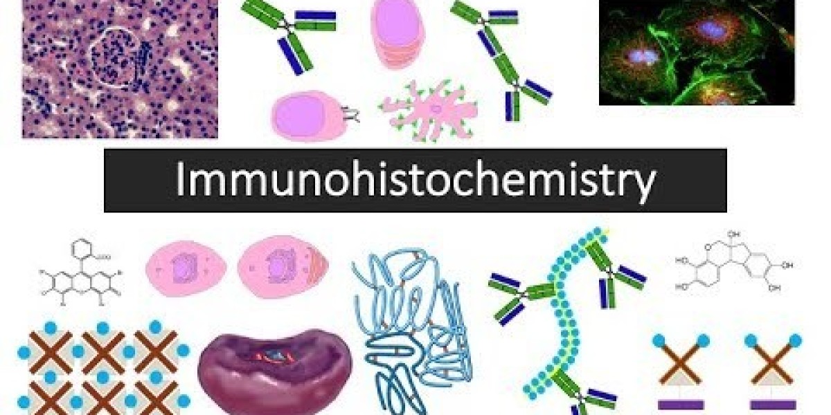 Immunohistochemistry Market Analysis- Industry Size, Share, Research Report, Insights, Statistics, Trends, Growth and Fo