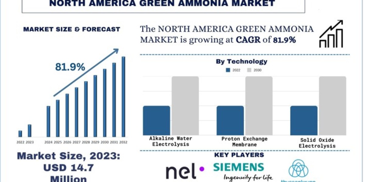 North America Battery Recycling Market Analysis by Size, Share, Growth, Trends, Opportunities and Forecast (2024-2032) |