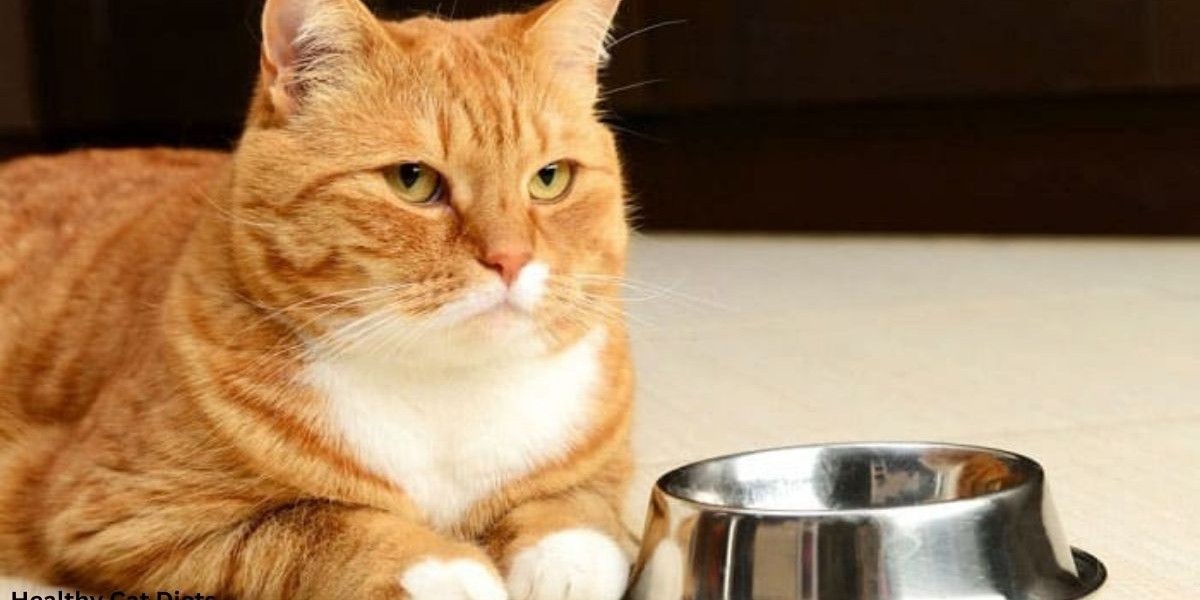 Understanding Feline Survival: The Limits of Cats Without Food and Water