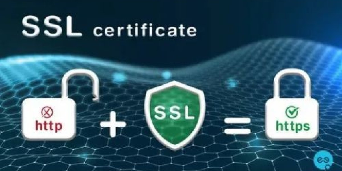 Searching for the Best SSL Certificate Provider for Safe Website