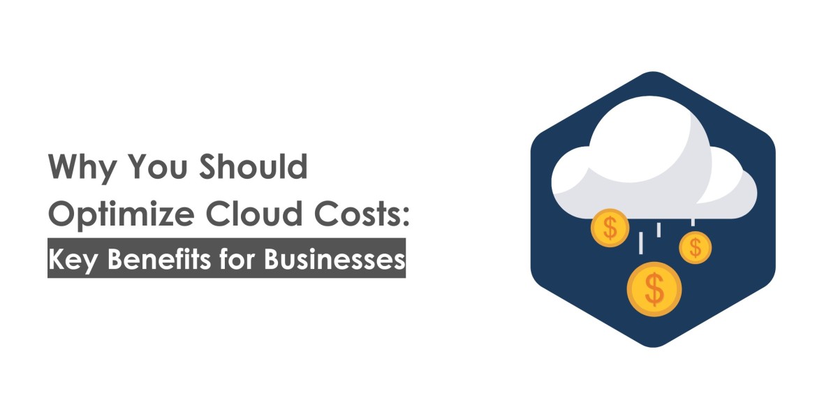 Why You Should Optimize Cloud Costs: Key Benefits for Businesses