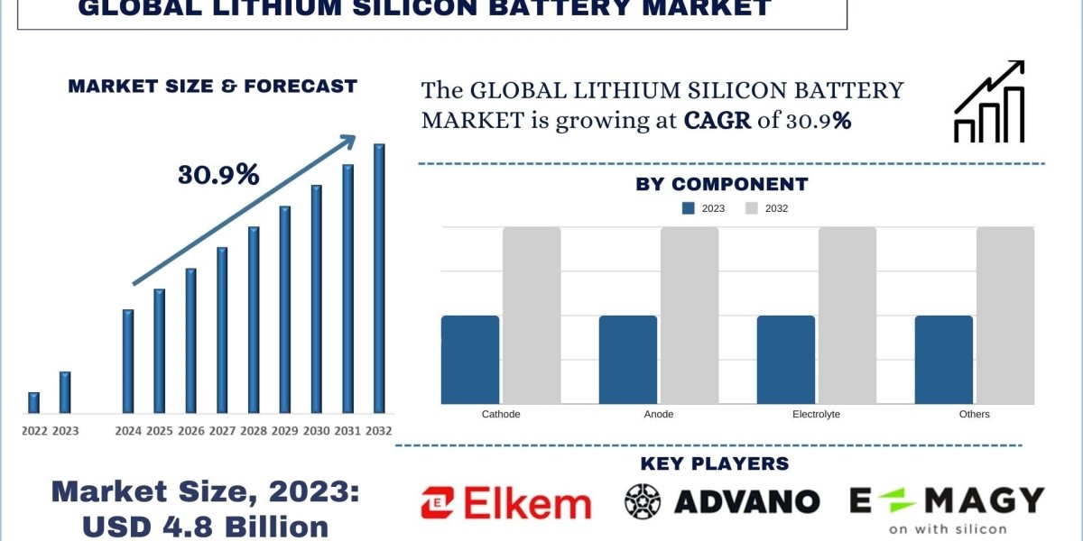 Lithium Silicon Battery Market Analysis by Size, Share, Growth, Trends, Opportunities and Forecast (2024-2032) | UnivDat