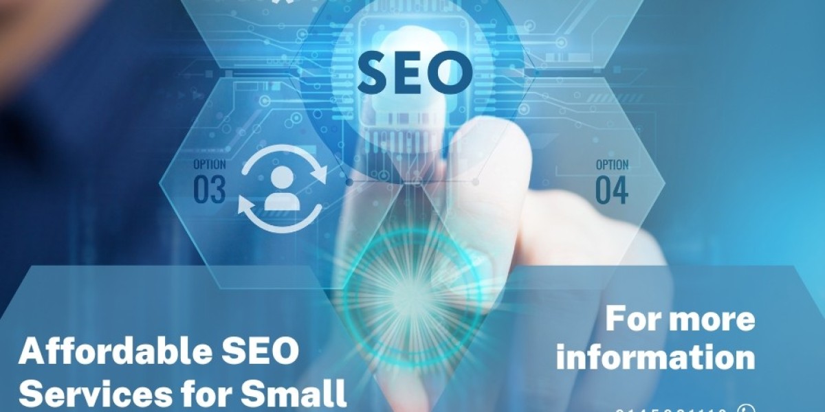 Discover Affordable SEO Packages for Small Businesses with Media Monkss