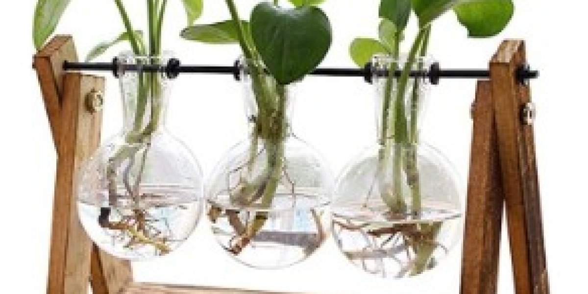 terrarium glass containers: Create your own indoor oasis with the best terrarium glass containers. Elegant, durable, and