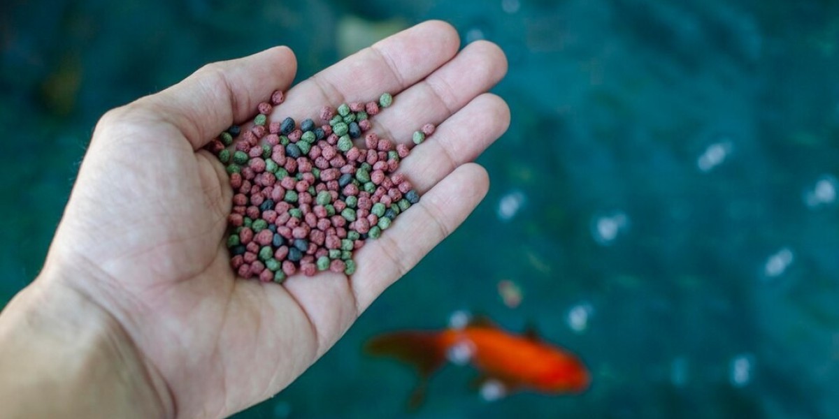 2023 to 2033 Fish Feed Market Outlook: Key Drivers and Industry Insights