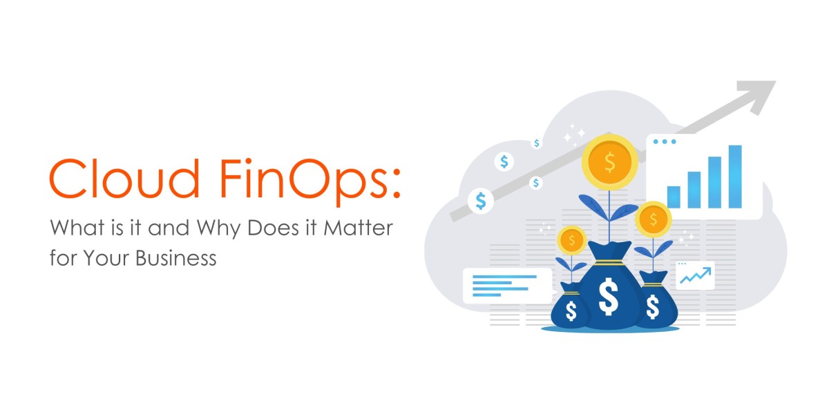 Cloud FinOps: What is it and Why Does it Matter for Your Business