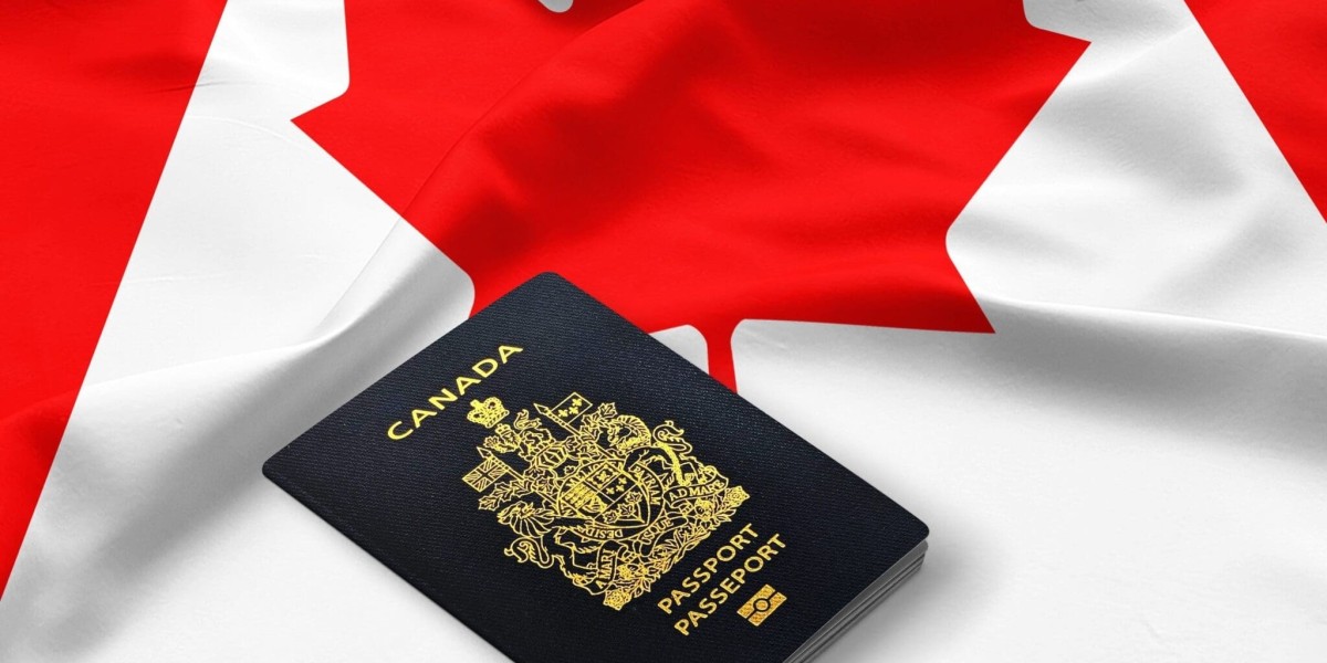 Everything You Need to Know About the Canada Visit Visa: Requirements, Application Process, and Tips for a Successful Vi