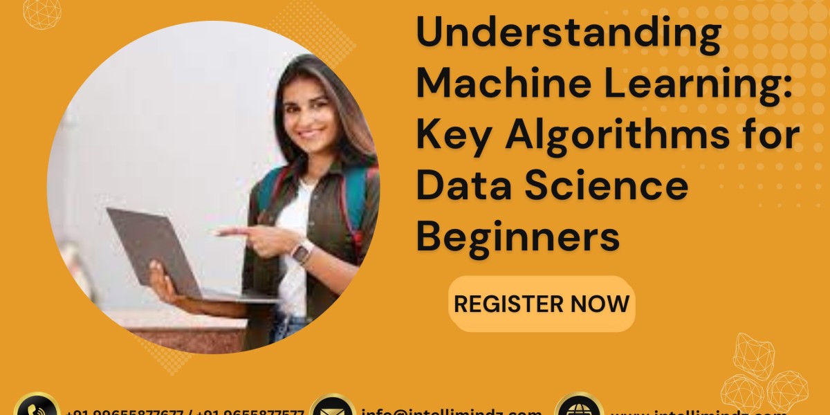 Understanding Machine Learning: Key Algorithms for Data Science Beginners