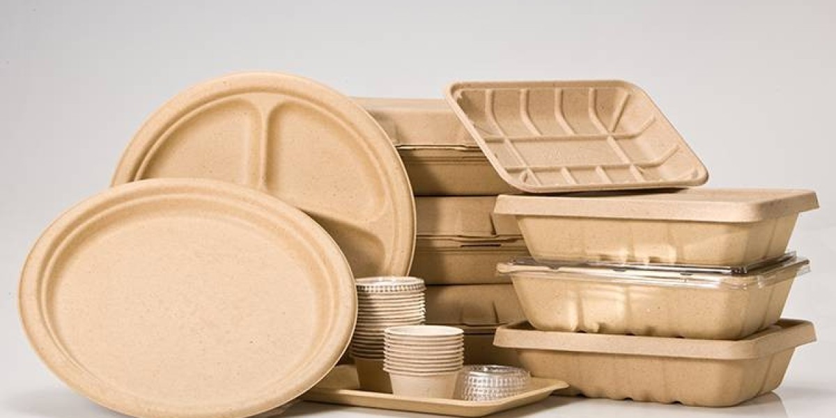 "Growth and Trends in the United Kingdom Biodegradable Packaging Market"