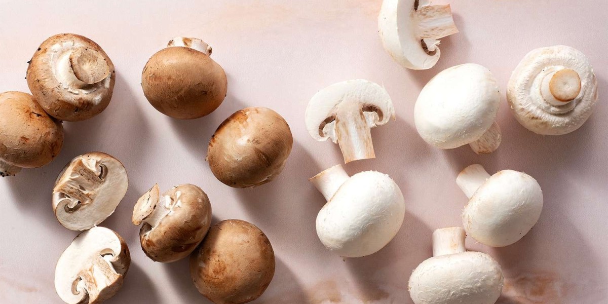 Mushroom Market Forecast: Growth Drivers & Analysis