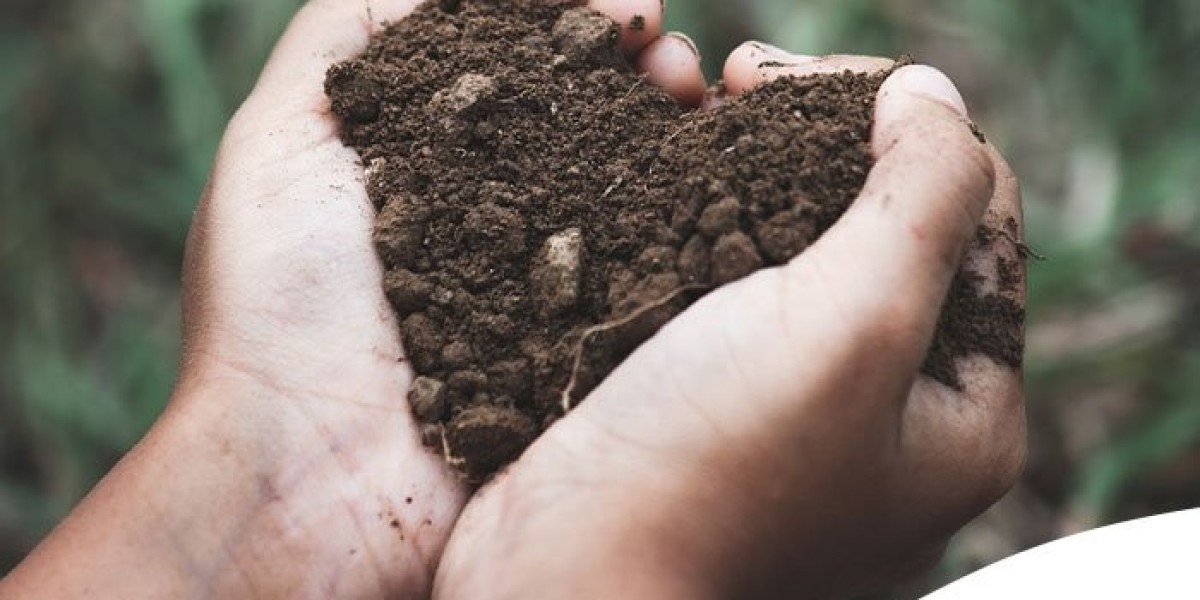 Soil Amendment Market Trends, Revenue, Key Suppliers, and Demand, and Forecast till 2031