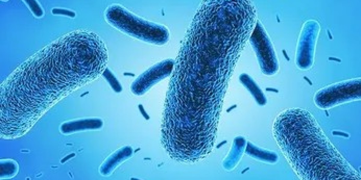 Antimicrobial Coatings Market Key Players, Latest Trends and Growth Forecast till 2034