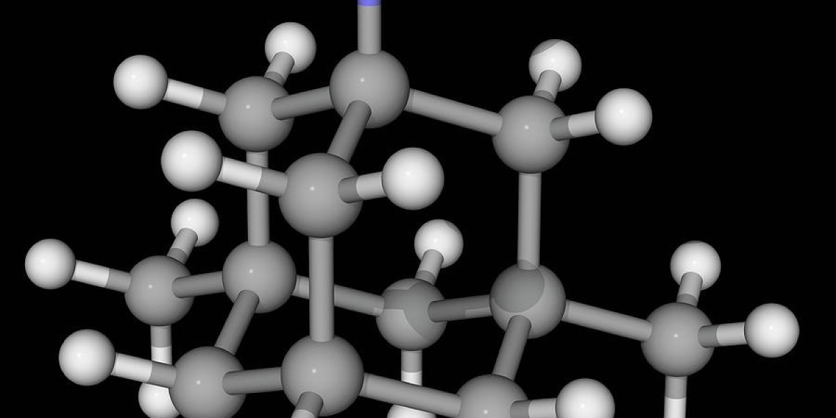 The Rising Demand for Alzheimer's Drugs Drives the Memantine Market