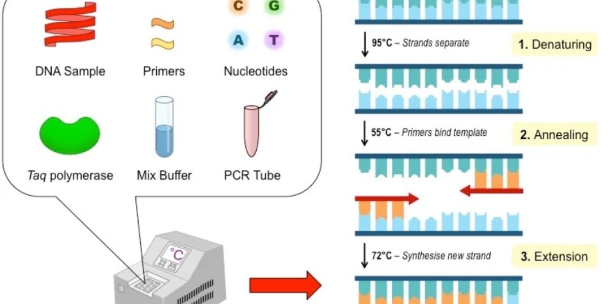 Key Regional Drivers of Growth in PCR Technology Market Set to Reach USD 30.43 Billion by 2034