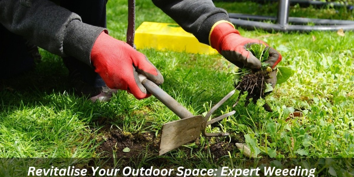 Revitalise Your Outdoor Space: Expert Weeding