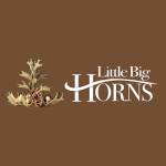 Little Big Horns