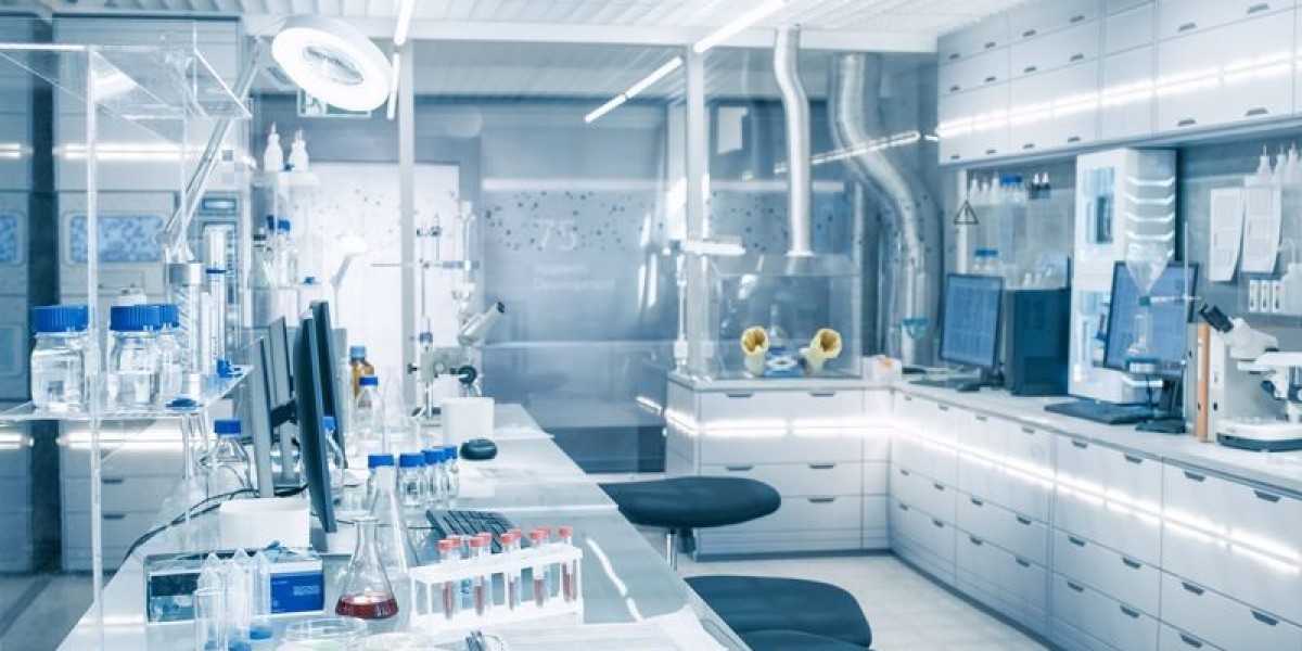 South Africa Laboratory Supplies Market Analysis: Trends, Growth Opportunities, and Forecasts to 2033