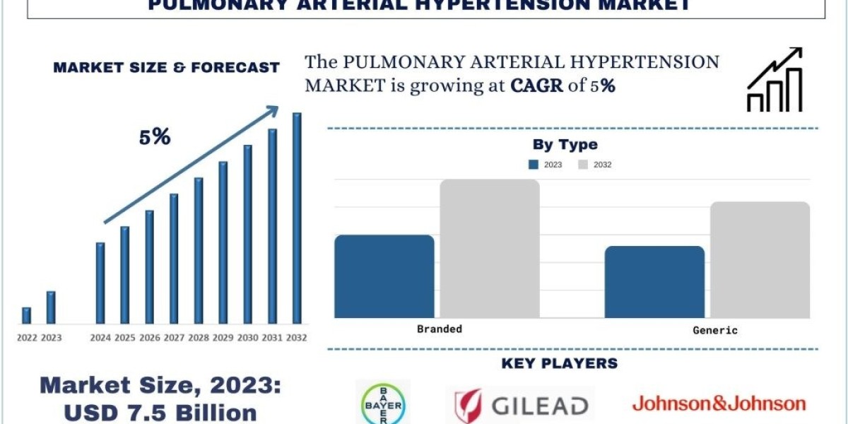 Pulmonary Arterial Hypertension Market Analysis by Size, Share, Growth, Trends and Forecast (2024–2032) | UnivDatos