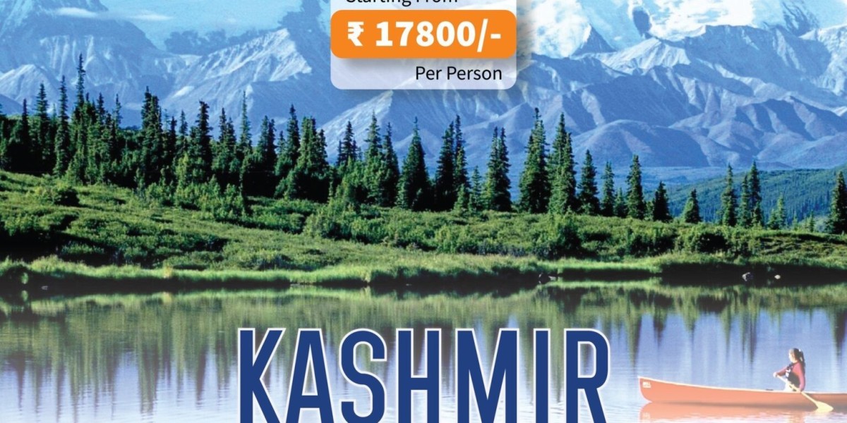 Why You Should Choose a Kashmir Trekking Tour Package This Year