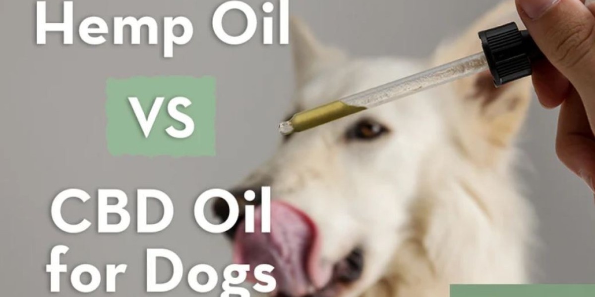 Hemp Oil vs CBD Oil for Dogs: Understanding the Difference and Benefits of CBD Oil Treats