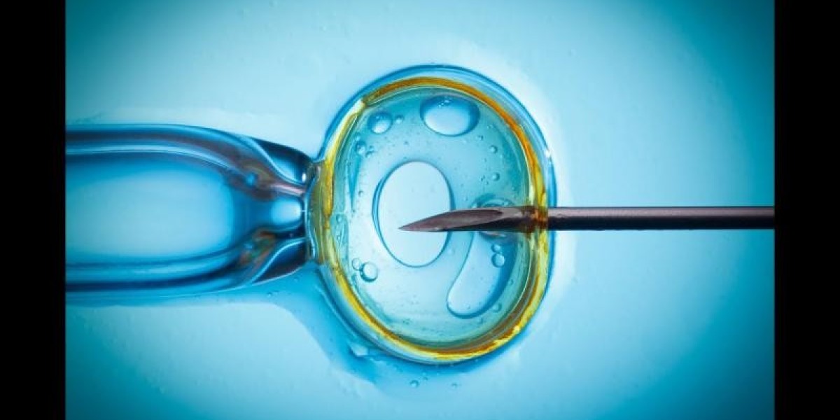 IVF Devices and Consumables Market Size, Share, Industry, Forecast, and Outlook (2024-2031)