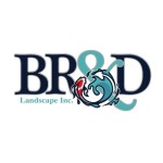 BRD Landscape