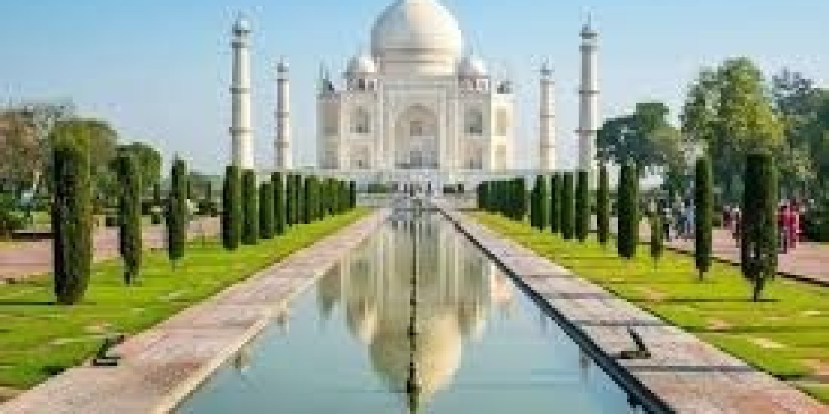 Discover the Magic of India's Golden Triangle Tours