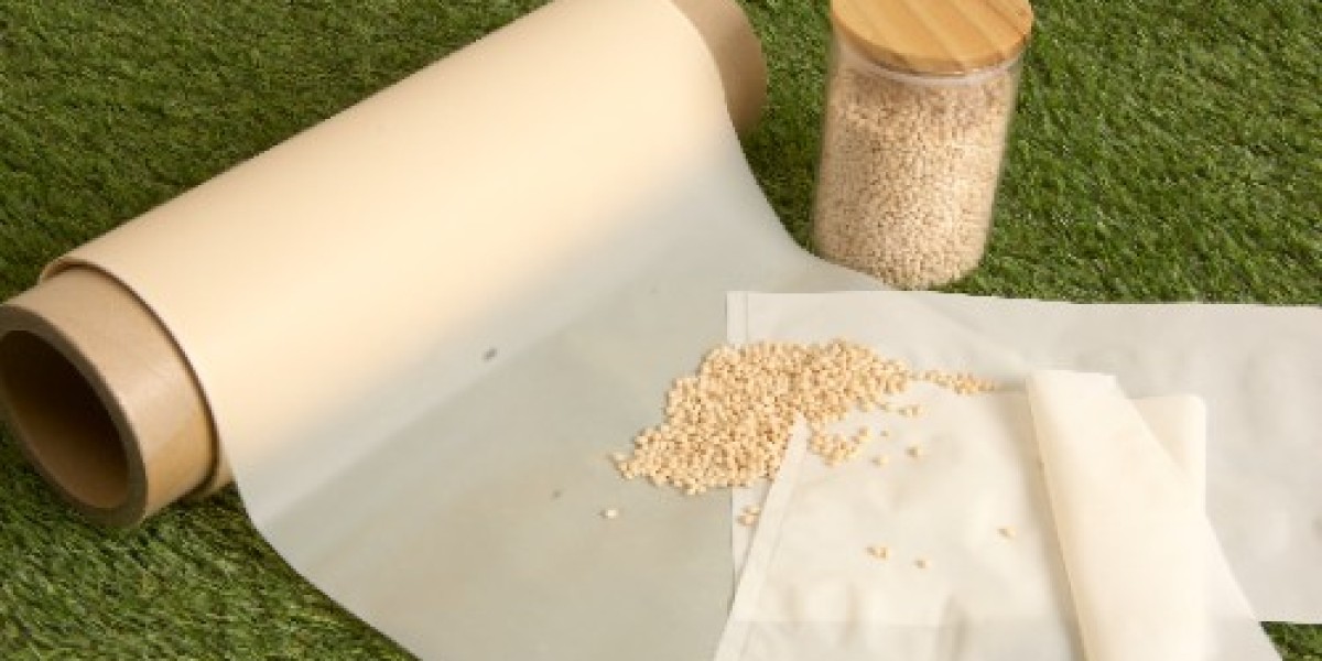 The Growing Biodegradable Films Market: A Sustainable Future for Packaging