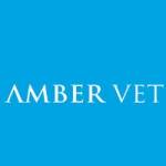 Amber Veterinary Practice