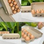 eggcartons inbulk