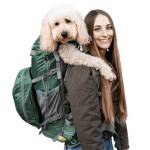 dog carrier