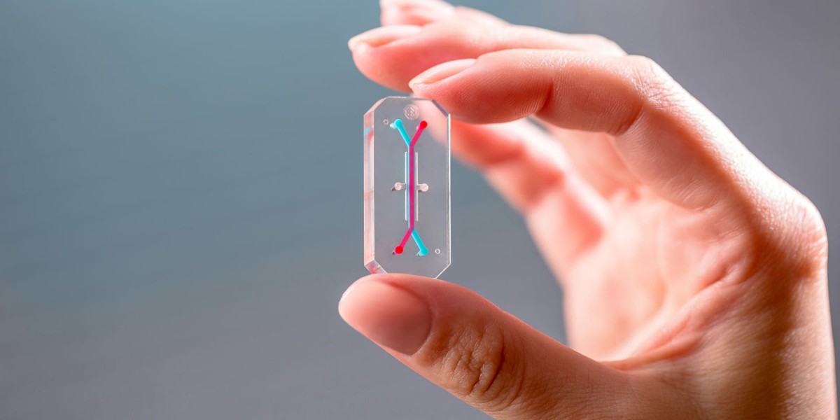 Organ-on-Chip Market: Trends, Growth Opportunities, and Future Outlook