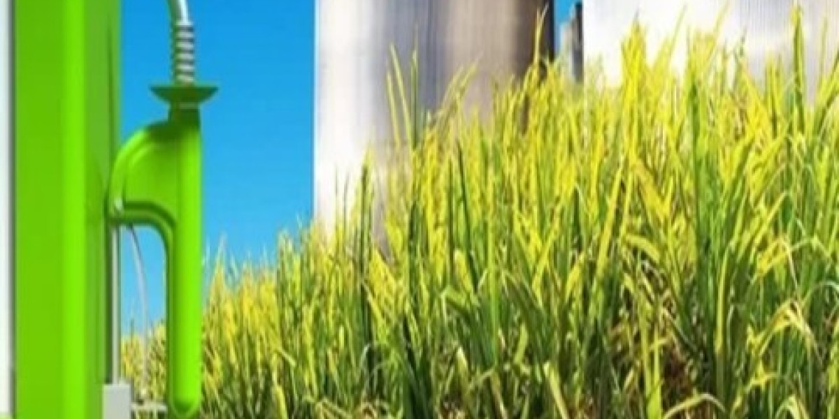 Bioethanol: A Renewable Fuel of the Future