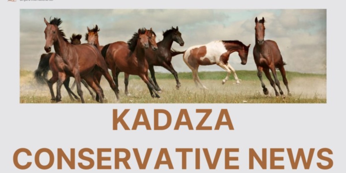 Kadaza Conservative News: Navigating the Landscape of Right-Leaning Media