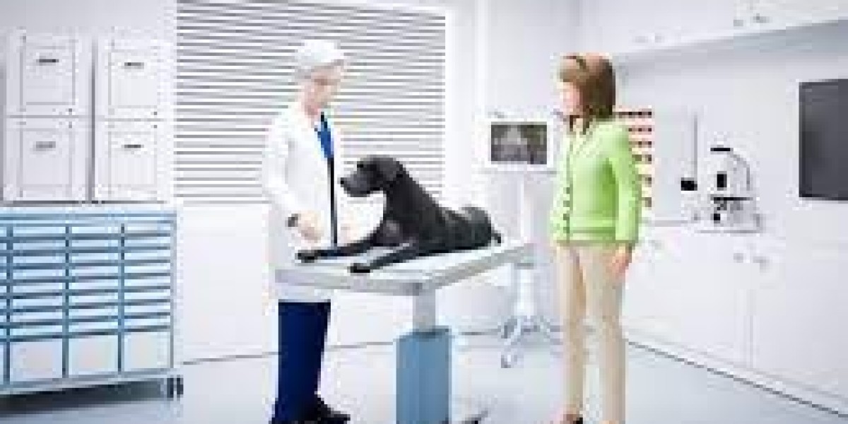 Singapore Veterinary Services Market Size, Share, Forecasts to 2033