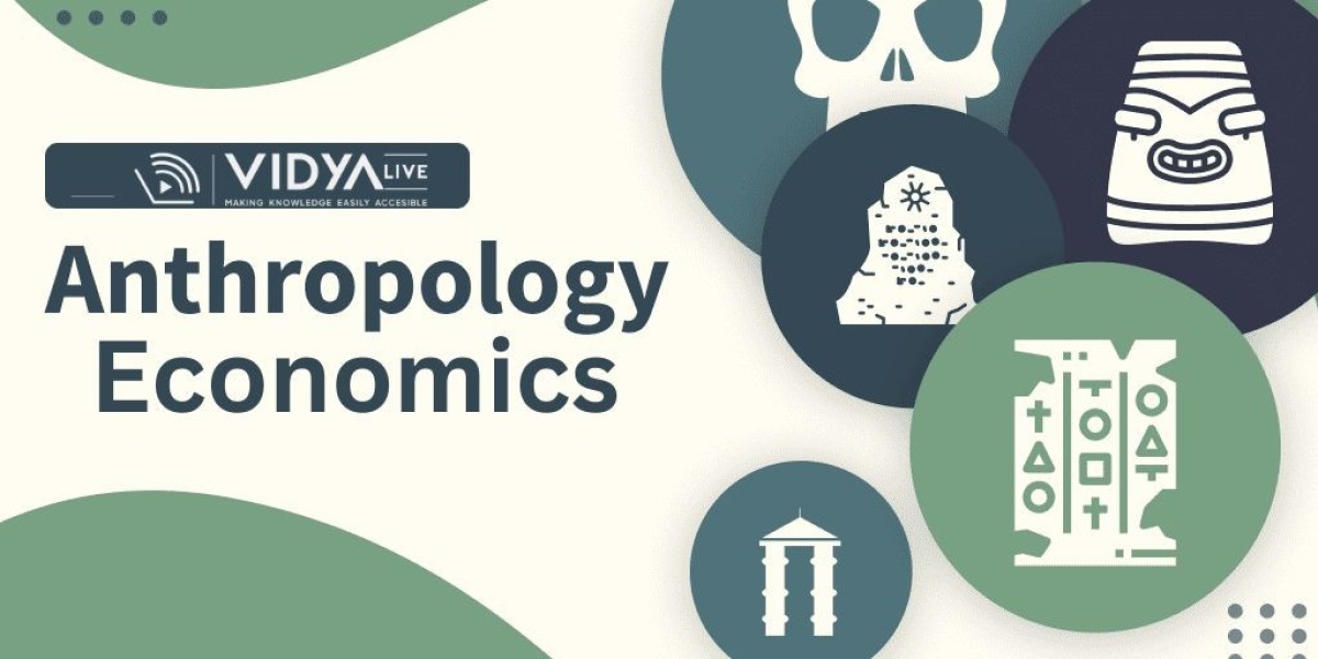 Exploring Society and Economy: Why Choose an Online BA in Anthropology and Economics?