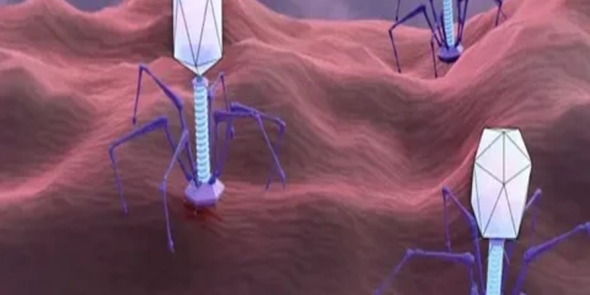 Bacteriophage Therapy: A Potential Alternative to Conventional Antibiotics