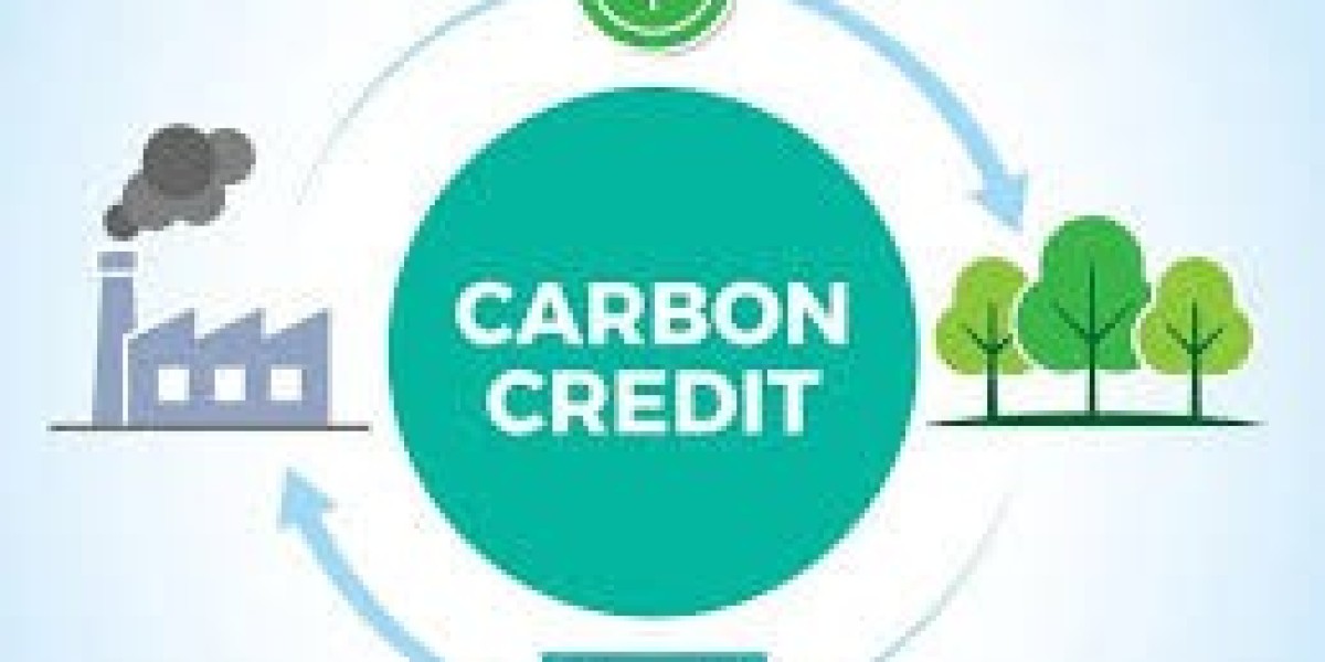 What is the Role of Offsets in the Carbon Credit Exchange?