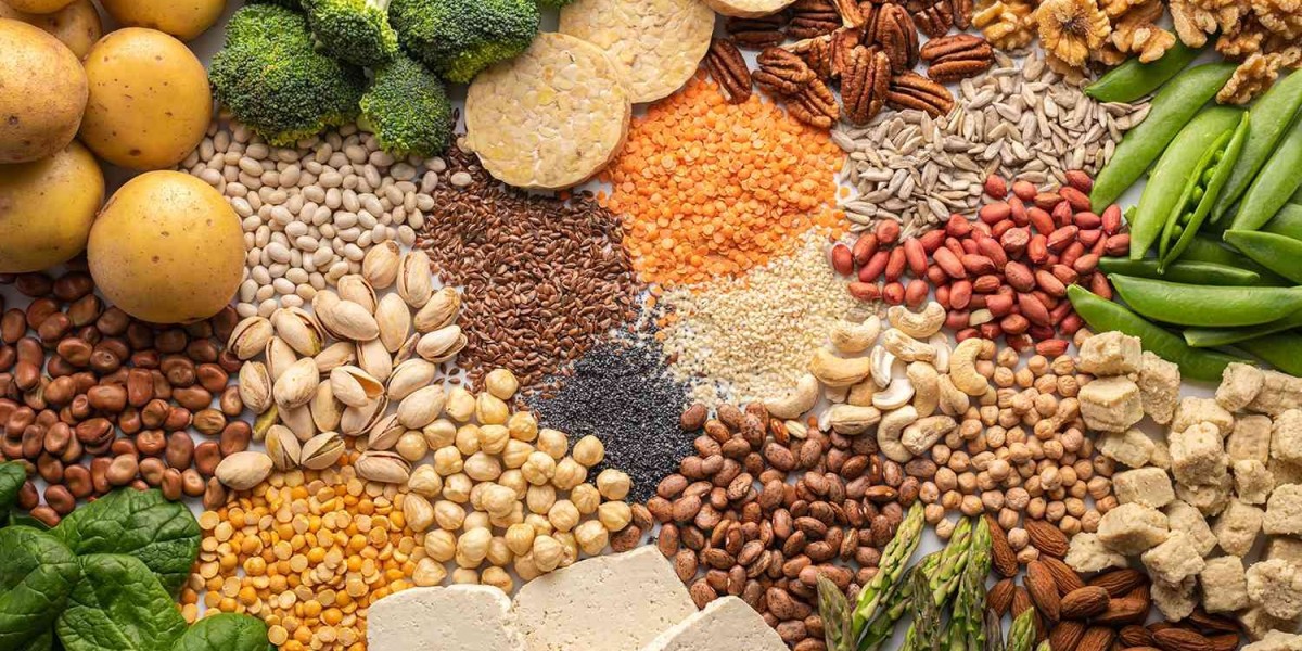 Singapore Plant Protein Market: Trends, Innovations, and Growth Drivers