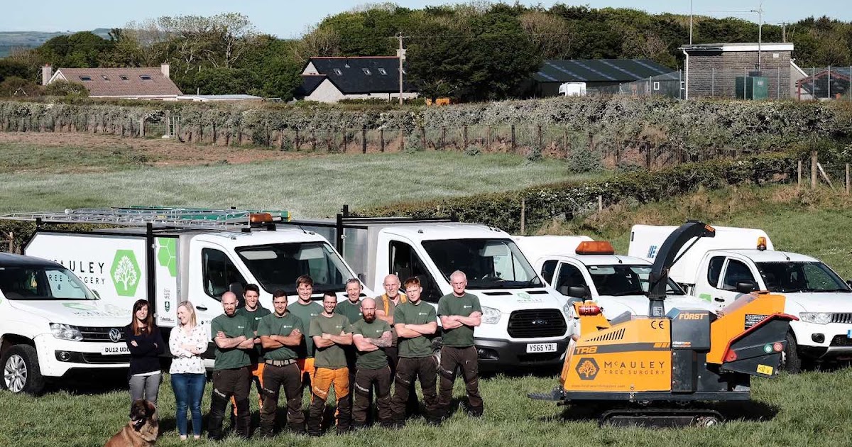 Top Tree Surgery in Belfast by McAuley Tree Surgery