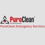 PuroClean Emergency Services