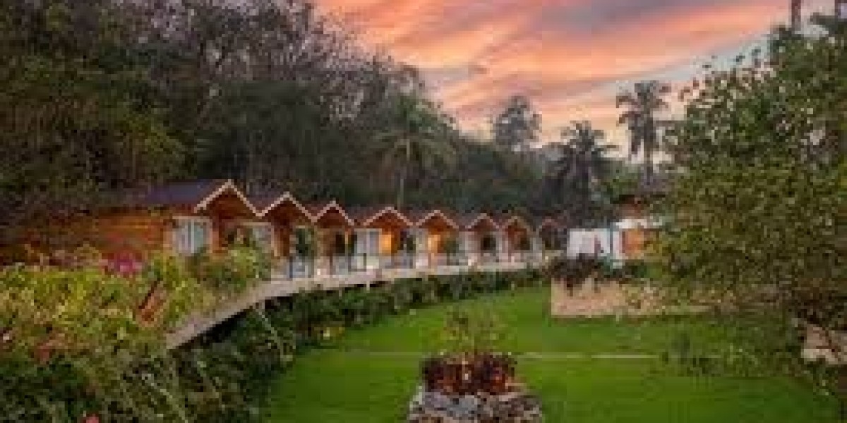 Discovering Dandeli: Your Ultimate Guide to Dandeli Resorts